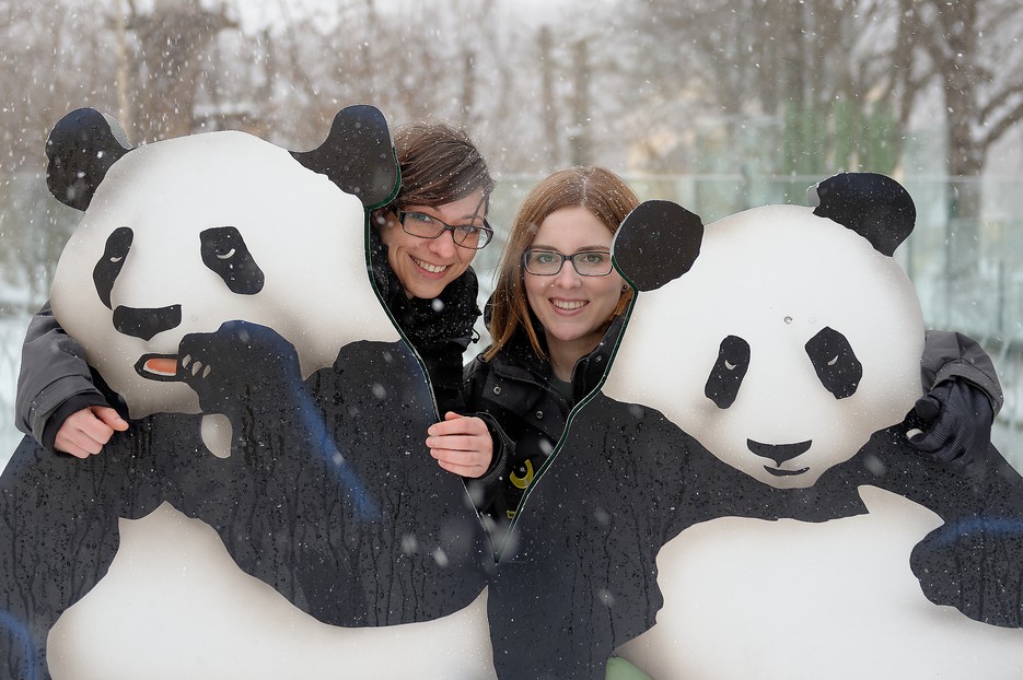 panda tour vienna