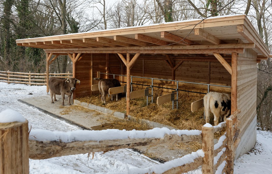 Der Stall am Tirolerhof ist fertig – Tiergarten Schönbrunn