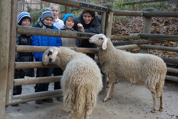 Foto für: Kinderführung 